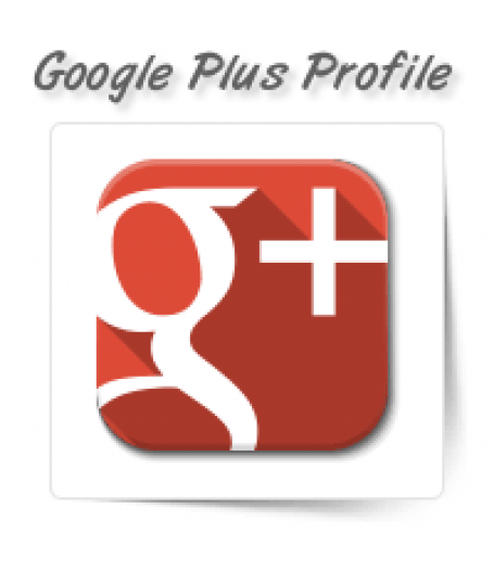 Google Plus Profile Writing